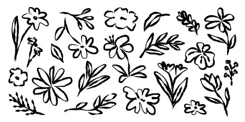 PNG Hand-drawn floral sketch design on transparent background