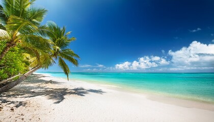 Obraz premium tropical paradise beach with palm trees and turquoise ocean under a sunny sky