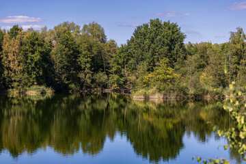 Obraz premium Tranquil lake with reflections of green forest trees under blue sky in summer nature landscape
