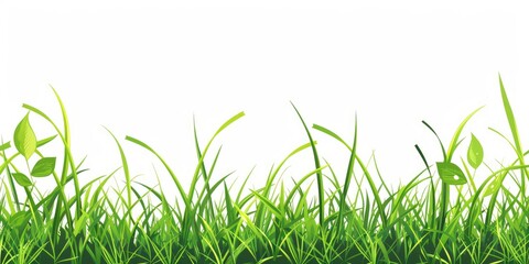 Lush green grass blades and leaves against a white background, creating a vibrant and natural horizontal border