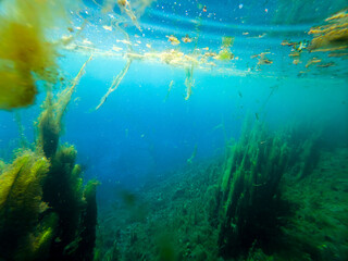 Immersione nel lago diposta Fibreno, Frosinone