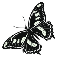 Butterfly wings glowing in neon portal silhouette
