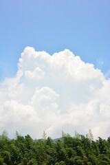 発達する入道雲