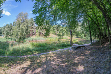Tranquil forest clearing in an ancient Central European village, daytime, filtered sunlight, warm glow, dappled shadows, fallen leaves or pine needles, natural pathways, untouched wilderness