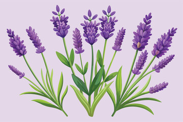 Naklejka premium Adobe Illustrator Artwork