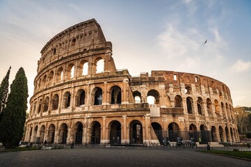 Fototapeta premium colosseum in rome italy