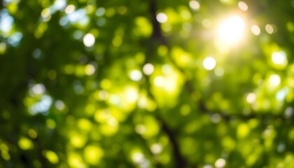 Obraz premium Sunlight filters through green leaves, creating a bokeh effect and a bright, natural atmosphere.