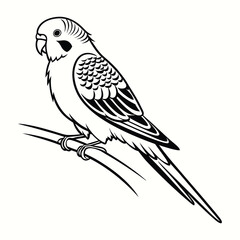 bird on a branch of tree