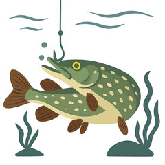 A large pike bit down on a fishing hook, as captured in an underwater video