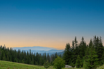 Panoramic view of layered mountain ranges with coniferous forest in foreground during golden hour sunset with clear blue sky. Concept of natural wilderness beauty, peaceful landscapes, mountain vistas