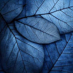 Obraz premium Abstract Blue Leaf Texture Background Botanical Nature