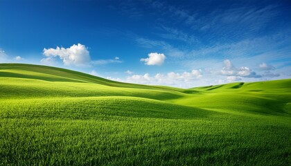 Fototapeta premium green land with blue sky in background