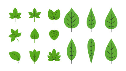 set of green leaves