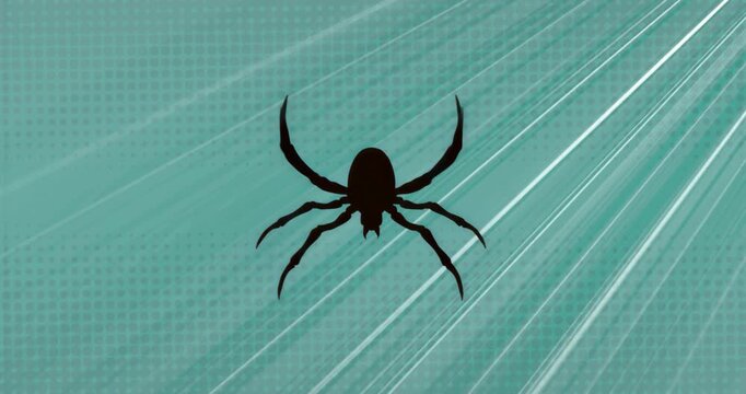 On load spider silhouette cycling legs against teal backdrop diagonal streaks emphasizing rhythm