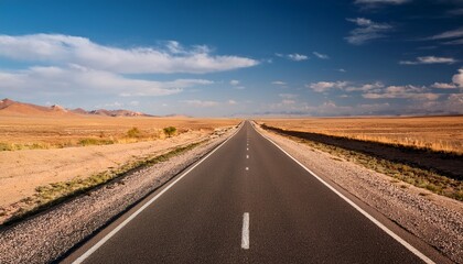 Fototapeta premium straight asphalt road stretches through flat arid landscape in atyrau region kazakhstan