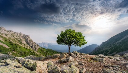 a solitary green tree stands on rocky terrain with majestic mountains and a cloudy sky in the background