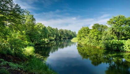 a river meanders through lush greenery under a bright sky trees line the banks their reflections shimmering in the clear water creating a peaceful atmosphere of tranquility and beauty