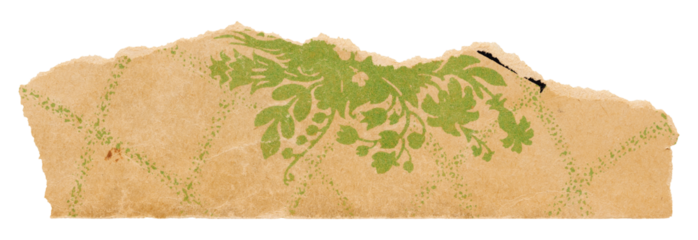 Tear strip of yellowed vintage book sheet, old paper with green floral pattern isolated for design