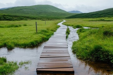 Serene Wooden Walkway Across a Verdant Marsh, Leading to Misty Mountains