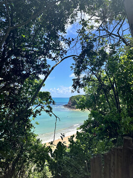 praia do amor em pipa, rio grande do norte, vista de cima, paisagem, natureza
