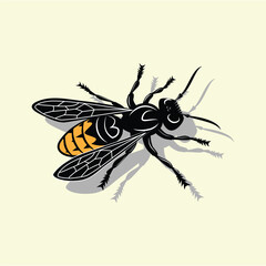 fly on white background