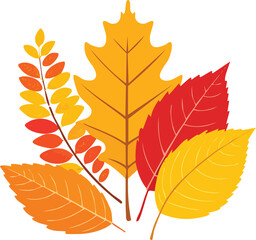 Fototapeta premium Bright collection of colorful autumn leaves in red, yellow, and orange tones. Perfect for seasonal decoration, greeting cards, and fall designs. Generative AI