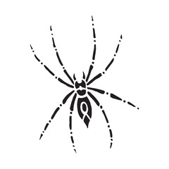 spider on a web