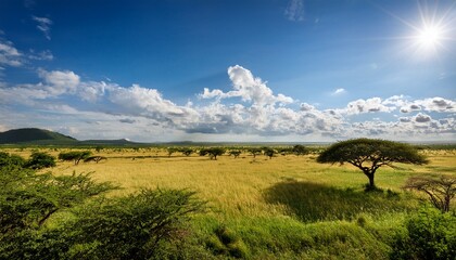 verdant expanse of african savanna bursts with life as vibrant foliage stretches as far as eye can see a testament to eternal rhythm of nature bounty in this thriving wilderness