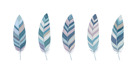 Decorative Feather Illustrations on White Background