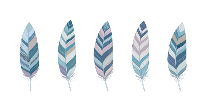Decorative Feather Illustrations on White Background