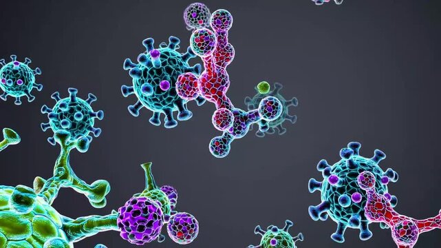 Three-Dimensional Computer Generated Representation of Antifungal Medication Compounds and Fungal Organisms