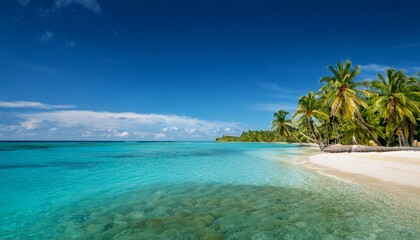 Fototapeta premium serene coastal paradise with crystal clear waters and palm trees along the shoreline
