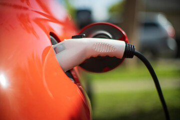 Electric car plugged in and charging in green park on sunny day, closeup on charging port.