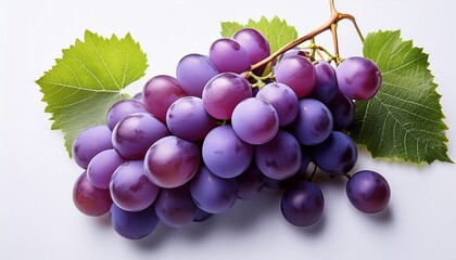 Fototapeta premium vibrant bunches of purple grapes with delicate leaves highlighted against a white background creating a fresh and artistic display generative ai
