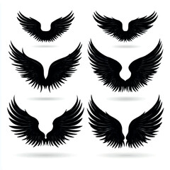 Obraz premium Angel wing silhouette set, Black & White silhouette set