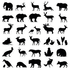 Fototapeta premium Animal silhouette set, Black & White silhouette set