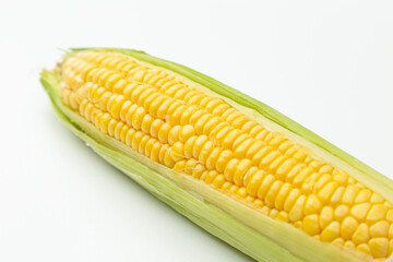 とうもろこし　白バック