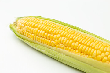 とうもろこし　白バック