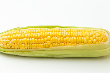 とうもろこし　白バック