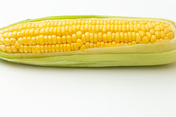 とうもろこし　白バック