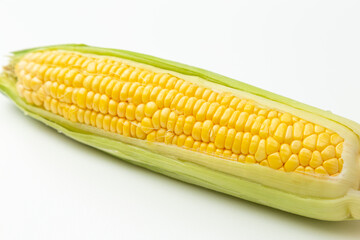 とうもろこし　白バック