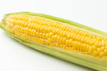 とうもろこし　白バック