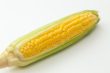 とうもろこし　白バック