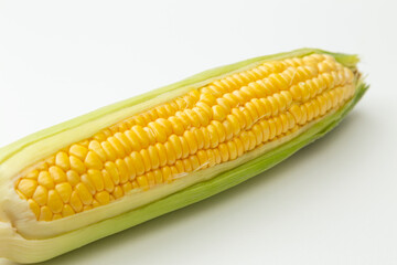 とうもろこし　白バック