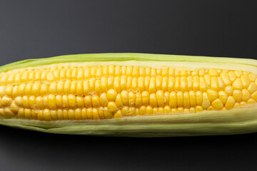 とうもろこし　黒背景