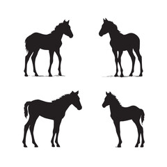 Baby horse silhouette set, Black & White silhouette set