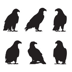 Fototapeta premium Bald eagle silhouette set, Black & White silhouette set
