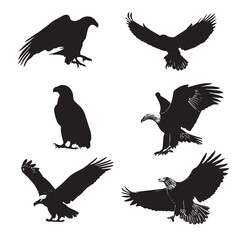 Fototapeta premium Bald eagle silhouette set, Black & White silhouette set