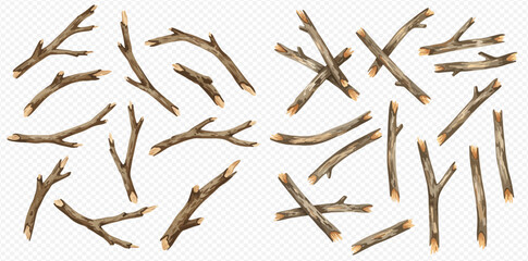 A realistic collection of dry tree branches, broken wooden sticks, and twigs of various shapes and sizes. © studio