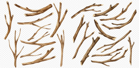 A collection of realistic dry tree branches, twigs, and sticks of various shapes and sizes isolated on a transparent background. © studio